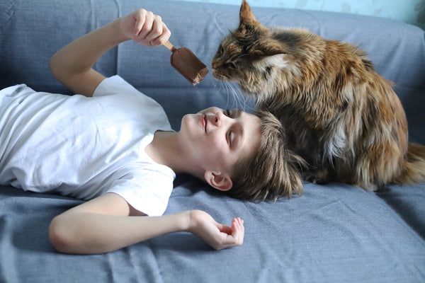 Ein Junge lacht, weil seine Katze sein Eis frisst
