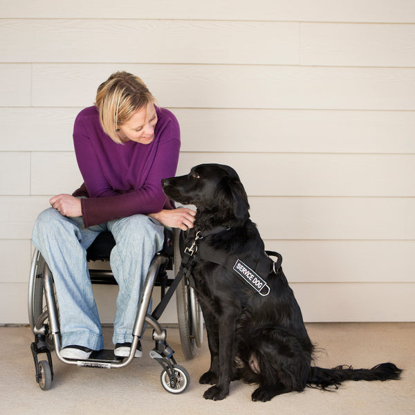Eine Frau im Rollstuhl streichelt ihren schwarzen Labrador-Begleithund.