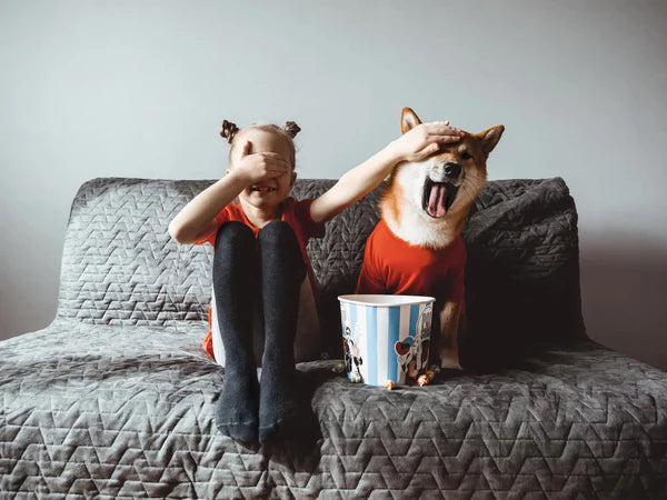 Dürfen Hunde Popcorn Essen: Mein Hund Isst Popcorn
