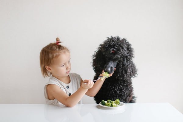 Nettes kleines Mädchen mit einem Hund, der Brokkoli isst.