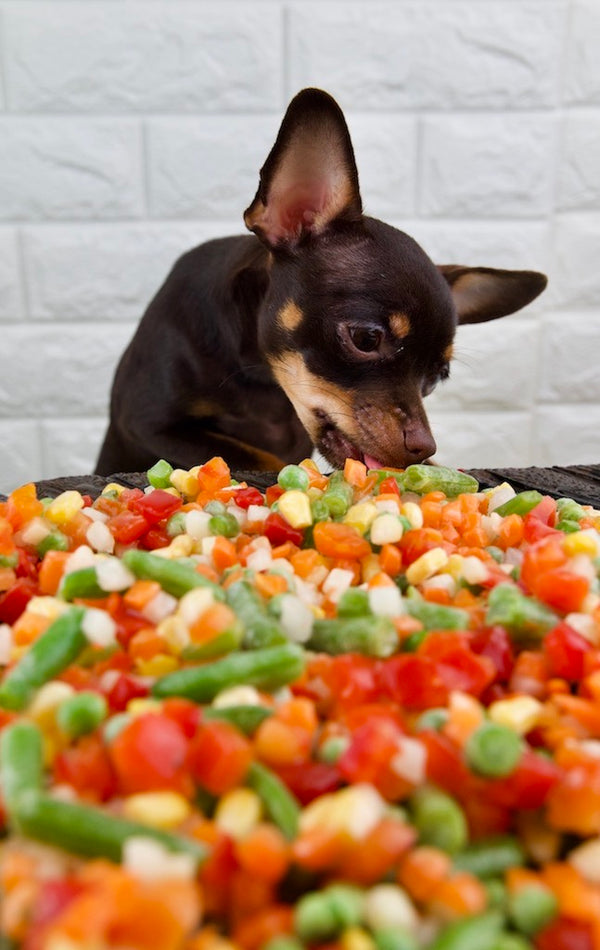 An adorable puppy happily munching on a plate of freshly chopped vegetables.
