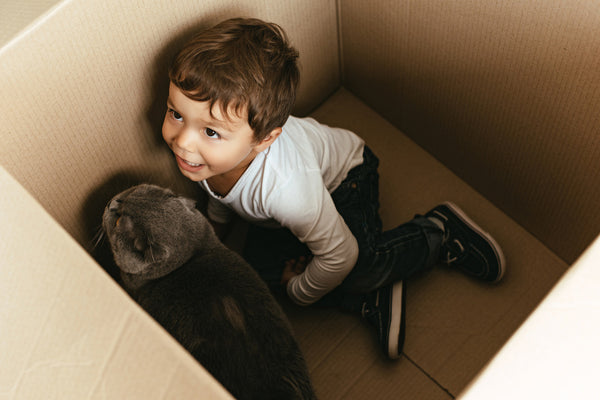 Kleiner Junge spielt mit Katze in Pappschachtel