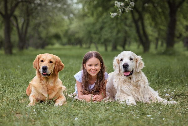 Kleines Mädchen in einem blühenden Park mit einem Golden Retriever-Hunde