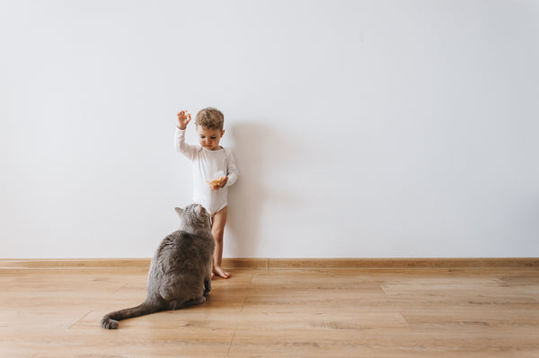 Kleiner Kleinkindjunge im weißen Bodysuit mit Keksen und grauer Katze zu Hause