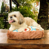 Das orthopädische Hundebett Etna ist ein waschbares, orthopädisches Hundebett, das Ihren Welpen glücklich und gesund hält.