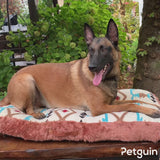 Ein K9-Hund sitzt auf einem Hundebett mit ethnischem Muster.