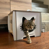 Eine Katzenhaus Pappe ist eine perfekte Lösung für eine Wohnungskatze. Sie bieten einen Ort, den sie ihr Eigen nennen können.