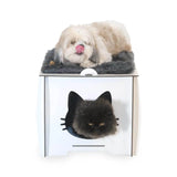 Ein Katzenhaus Pappe mit einem Katzenhaus drinnen und einer Katzentoilette. Recycelt, robust und einfach zu montieren.