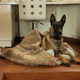 Mit einem weichen Hundebett Flauschig und einer wasserdichten Unterseite ist dieses Hundebett sowohl stilvoll als auch langlebig.