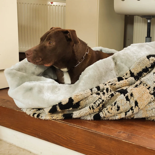 Vienna Kuscheliges Hundebett ist ein erschwingliches, stilvolles und langlebiges Bett für Ihren Hund. Es ist perfekt für eine gemütliche Höhle oder Höhle!