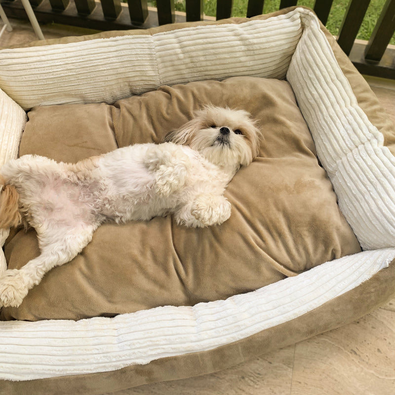 Paris Hundebett Orthopädisches ist ein Bett für Ihren Hund. Dieses Bett ist aus den hochwertigsten Materialien hergestellt und wurde entwickelt, um Ihrem Hund einen angenehmen Schlaf zu bieten.