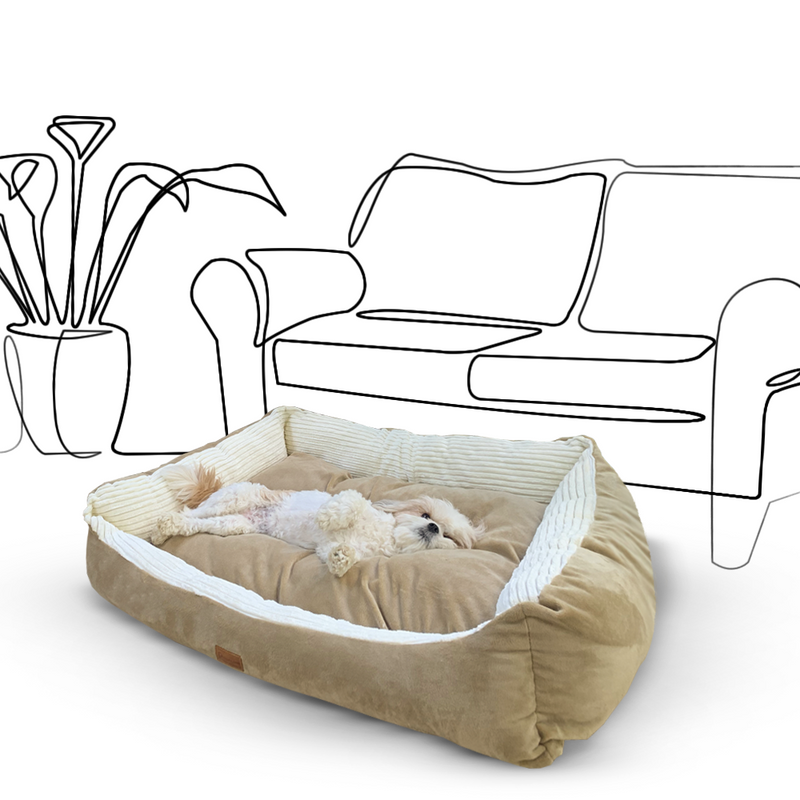 Paris Hundebett Orthopädisches sind die perfekte Möglichkeit, Ihrem Hund einen bequemen Platz zum Ausruhen zu bieten. Diese großen Hundebetten sind aus hochwertigen Materialien gefertigt und haben eine langlebige Konstruktion.