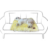 Ein süßer kleiner weißer Hund, der auf einem gelben Plüschhundebett liegt, das auf einer stilisierten Zeichnung eines Sessels auf weißem Hintergrund platziert ist